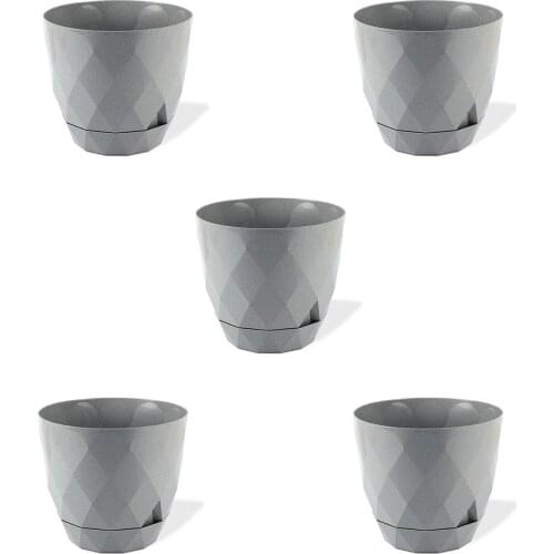 MF Botanical 5'li Phosphorescence Cactus Sukulent Flower Pot 0,30 lt