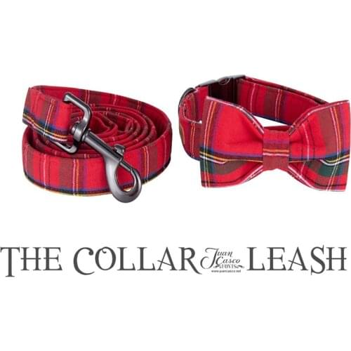 Unique style paws Collars For Cats