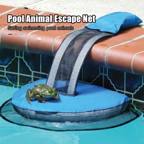 Frog And Duck Escape Net Swimming Pool Small Animal Escape Net Ourdoor Swimming Pool Accessories