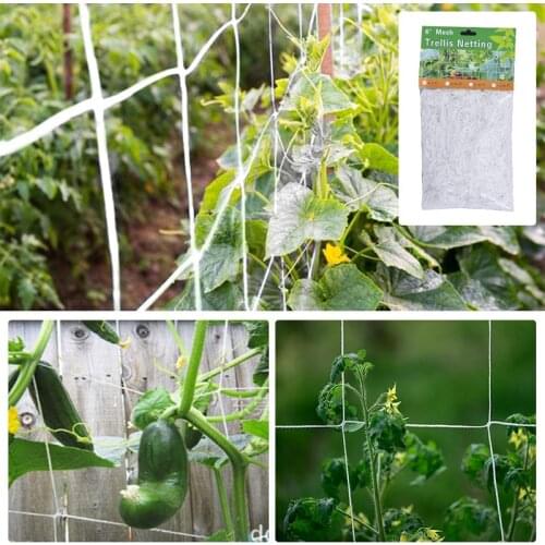 10/20m Mesh Polyester Net Loofah Netting For Morning Glory Vine Flowers Garden Plants Climbing Net Cucumber Vine Grow Holder