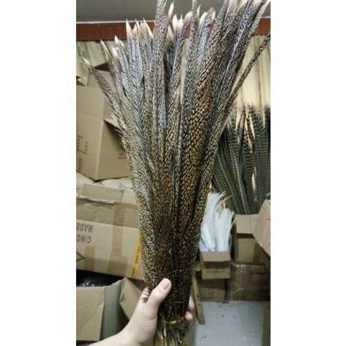 Wholesale High-quality original 10pcs natural Golden Pheasant feathers 60-70cm /24-28nch A variety of decorative