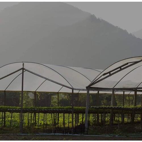 Waterproof Transparent Tarpaulin Film Patio Plants Rainproof Shelter Cover Household Garden Thicken Greenhouse Film