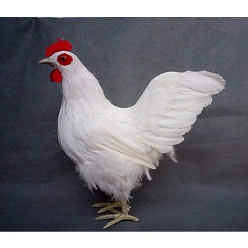 Simulation cute white cock 34x17x43cm model polyethylene&furs chick model home decoration props ,model gift d432
