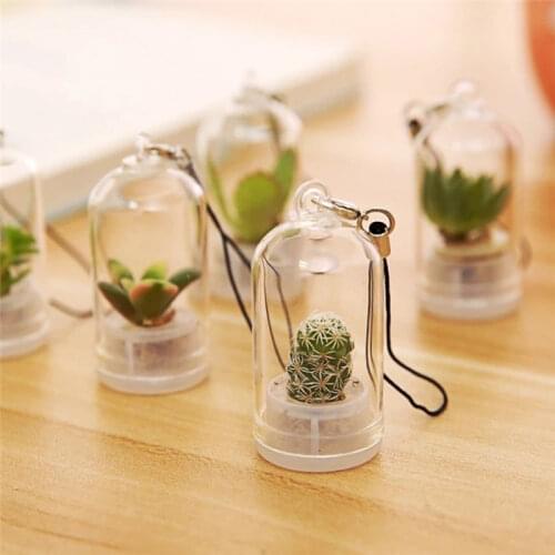 2PCs Random Mini Succulent Cactus Plant Keychain with Glass Cover Green Fleshy Plant Pendant Keyring Charm Craft Gifts for Women