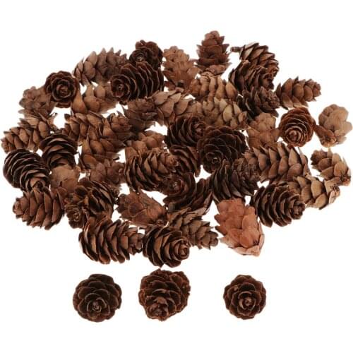 60 Pieces Natural Pine Cones for Christmas Fall Thanksgiving Harvest Autumn Party Craft Accessory Decorations