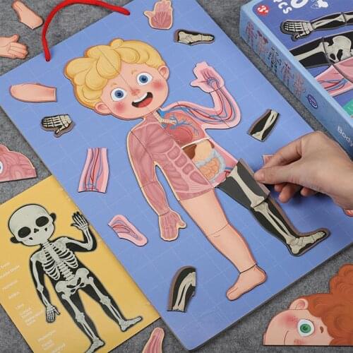 Magnetic Puzzles Kids Montessori Toys Magnets Human Body Structure Science Board Games Biology Teaching AIDs Learning Toys