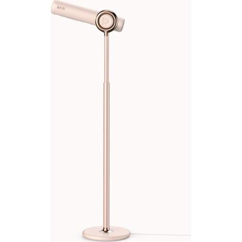 TT Pinshi Lejia Vertical Free Hands Anion Hair Care High-Power Quick-Drying Floor Hair Dryer