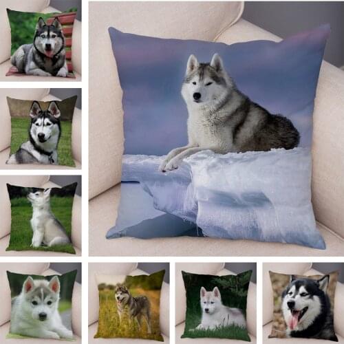 Cute Animal Pillowcase Decor Siberian Husky Cushion Cover for Sofa Home Super Soft Plush Pet Dog Pillow Case Covers 45*45cm
