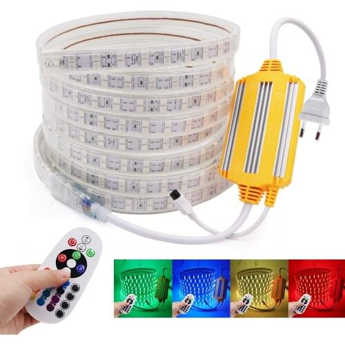 220V RGB 5050 LED Strip with RGB Waterproof Controller 60/120Leds/M Flexible Led Tape Outdoor High Brightness Led Stripe EU Plug