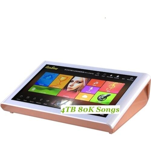 Gymsong Home Party Karaoke Singing Machine 4TB HDD System Karaoke Microphones