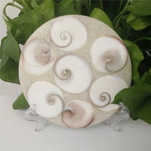 11CM Natural Sun shell fossil Fossil Specimen Crystal Love Heart Reiki Shiva Eye Slice