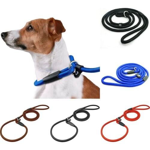 Nylon Rope Slip Dog Lead 5ft Pet Collar Training Show Leash Red Black Blue Brown