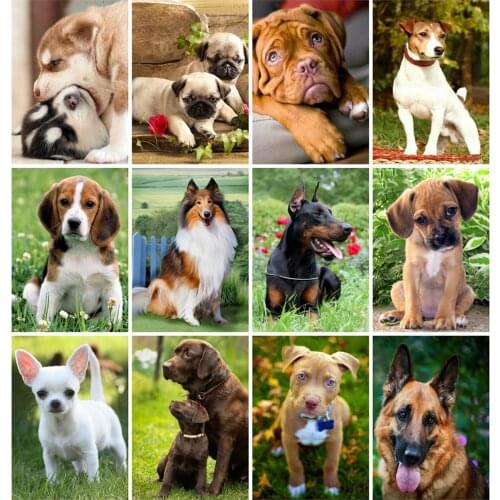 HUACAN Diamond Painting Kit Animal Farmhouse Home Decor Mosaic Dog Embroidery Diamond Art Full Drill