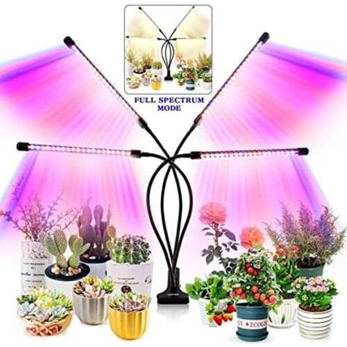 CHUBAN Professional Lighting