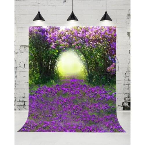 VinylBDS Digital Printing Photography Backdrops Lavender Hollow Cartoon For Wedding Fantasy Photography Scenic Backdrops