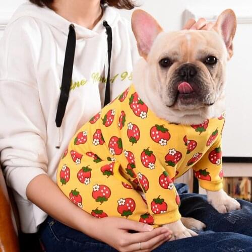 2020 New Pet Dog Clothes Strawberry Leisure Four-legged Puppy Fall Winter Thickening Pet Cotton Clothes ropa de perro одежда