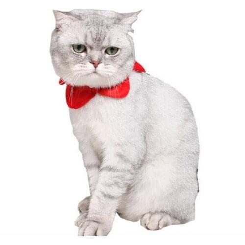 50Pcs/Lot Wholesale Halloween/Christmas Lovely Pet Collar/Scarf Cosplay Clothes Pet Costumes Dog Puppy Cat Supply