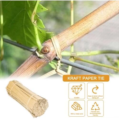 1000PCS Of Kraft Paper Ties Natural Color Bendable And Reusable Bread Ties For Bag Packaging Vegetable Holders Garden Ropes