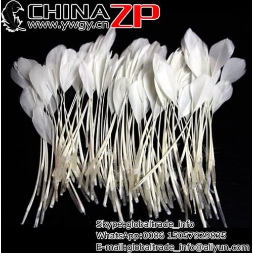 CHINAZP Factory Wholesale Price 1000pcs/lot Selected Prime Quality White Stripped Goose Feathers