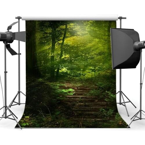 Jungle Forest Backdrop Fairytale Spring Green Trees Leaves Weathered Brick Path Shining Lights Fantasy Picnic Hiking Photography