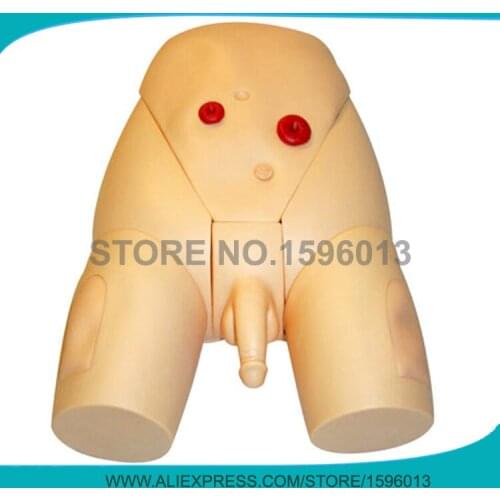 Advanced Male Catheterization Training Simulator with IM Injection Teaching, Catheterization Trainer