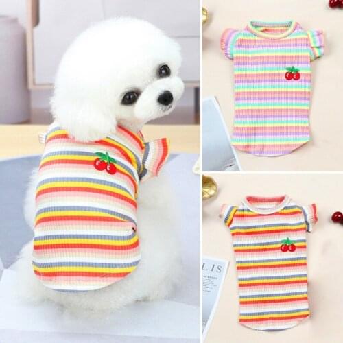 5 Sizes Dog Summer Stripe Dog Vest Clothes Lace Sleeve Puppy Pet Shirt Puppy Cute Soft CottonT-shirt for Dog Clothes Apparel