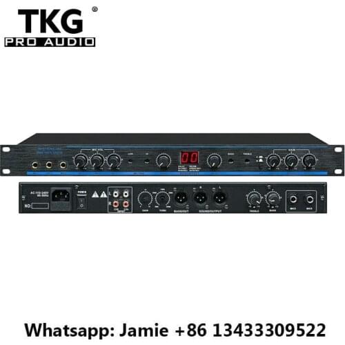 TKG DSP 100sound system audio processor DSP-100 Professional Digital Karaoke Preamp DSP100 Processor audio system audio system