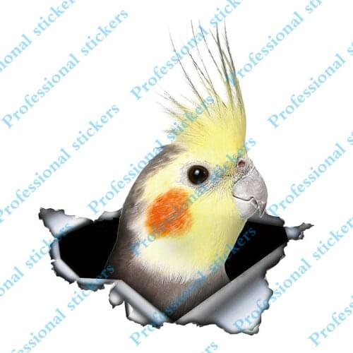 Funny 13cm x 11.3cm Cockatiel Parrot Lovely Bird Car Sticker Sunscreen Decal Laptop Motorcycle Car Accessories Custom Decal
