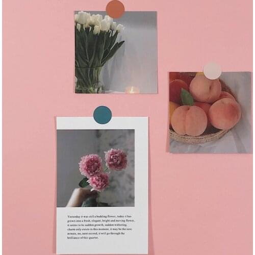 Ins Peach Tulip Decoration Large Size Card Set Art Postcard Simple Style Diy Wall Sticker Photographic Props Background Stickers