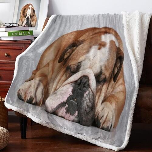 Bulldog Lovely Wrinkled Snout Brown Pet EarsNew Winter Warm Blanket Office Plush Blanket Bedspreads Quilt Drop Ship