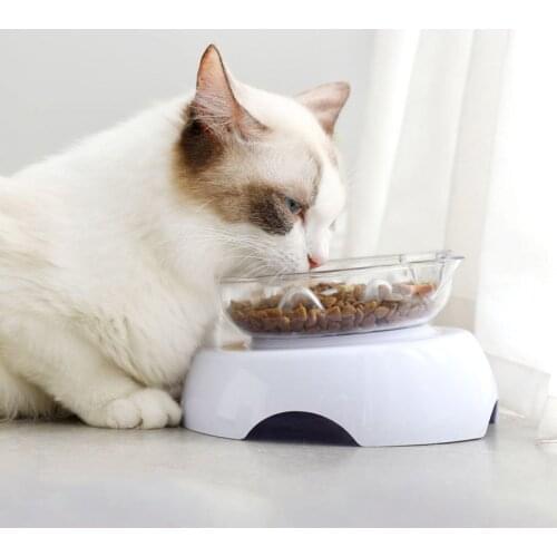 Slow Feeder Cat Bowls With Stand Non-slip Washable Cats Dogs Feeders For Drinking Water Pet Healthy Eating Bowl Supplies