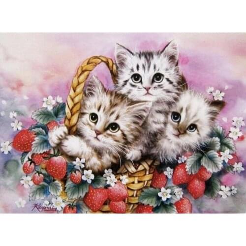 5d diy diamond painting cross stitch kit three cat Flower baskets 3d drill diamond mosaic pattern diamond embroidery gift