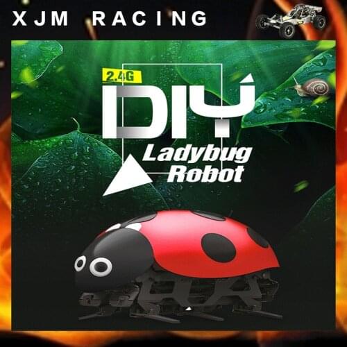 2.4G DIY ladybug Robot RC beetle toy