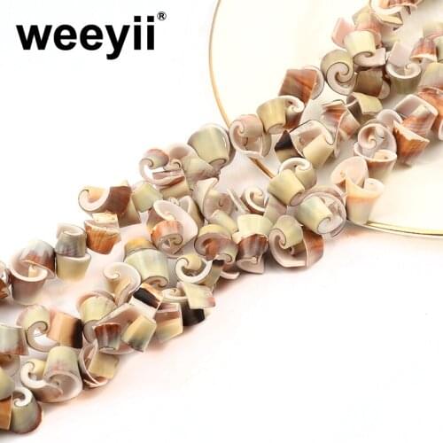 Natural Irregular Shells Roll Shell Beads Loose Spacer Beads For Jewelry Making Womens Bracelet Necklace Jewelry Accessories
