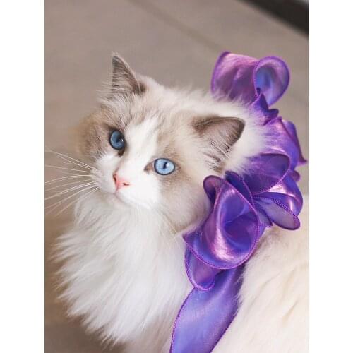 Puppet cat collar beautiful butterfly collar