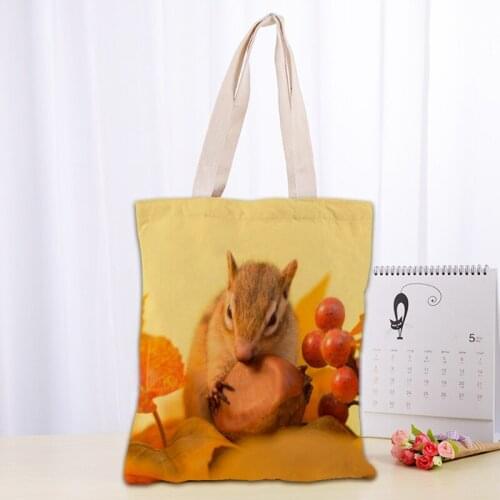 Custom Animals Hamsters Tote Bag Reusable Women Canvas Shoulder Bag Handbag Shoulder Pouch Foldable Canvas Shopping Bags