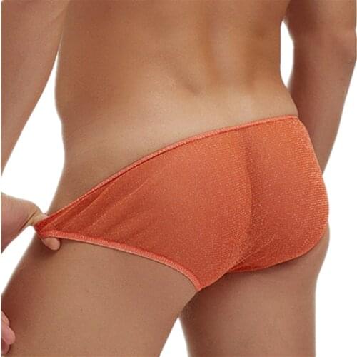 New Sexy Gay Underwear Men Briefs See Through Mesh Underpants Low Waist Hombre Slip Gay Calzoncillos U Pouch Sissy Male Panties