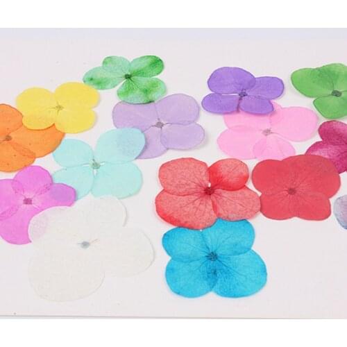 1bag Hydrangea dried flower pressed flower Epoxy necklace jewelry pressed flower phone case material