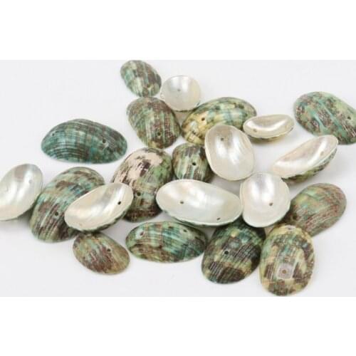19-40mm Green Natural Spiral Sicircle Shell Loose Beads for jewelry making DIY 2 hole about 50pcs TRS0058