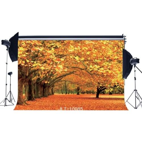 Photography Backdrops Rural Forest Fall Leaves Autumn Nature Newborn Baby Toddlers Adults Lover Portraits Background