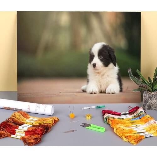 Animal Dog Dachshund Printed Canvas 11CT Cross-Stitch Full Kit Embroidery DMC Threads Painting Sewing Craft Hobby Jewelry