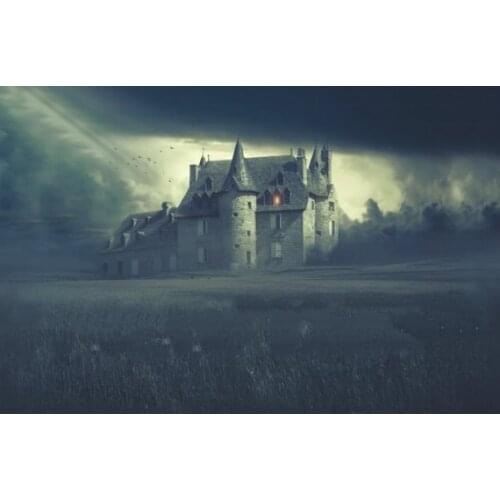 Haunted Castle Foggy Field Halloween Witch photography backgrounds Computer print children kids backdrop