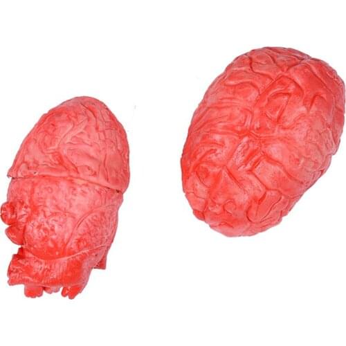 Halloween Ghost Day Simulation Brain Toys Horror Rubber Fake Human Brain Prop Toys Organ Body Part Halloween Decoration