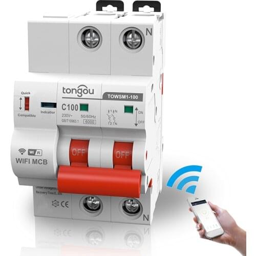 2P WiFi Intelligent Circuit Breaker Air Switch Automatic Switch Overload Short Circuit Protector Household Power Switch
