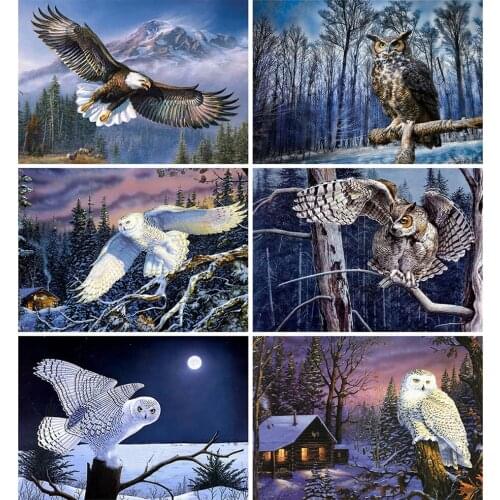 MomoArt 5D DIY Diamond Painting Owl Cross Stitch Mosaic Diamond Embroidery Animal Craft Kit Home Decorations