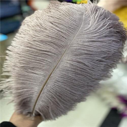 The New Fluffy Skin Powder Ostrich Feather 40-45cm/16-18inches Diy Craft Home Christmas Celebration Accessories Plumas De Faisan