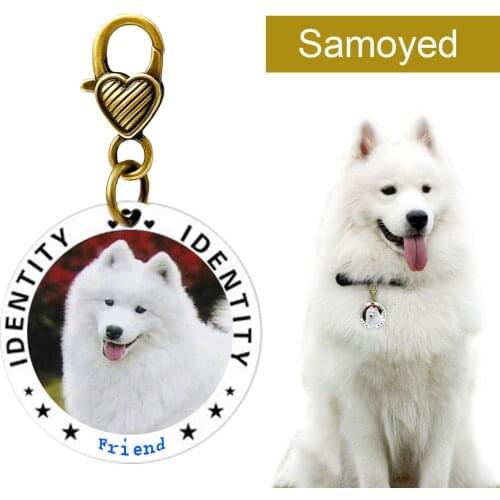 Dog ID Tag Acrylic Pet Dog Tags Love Animal Tags Collar Accessories For Dogs Necklaces Pendants Gift Your Dogs