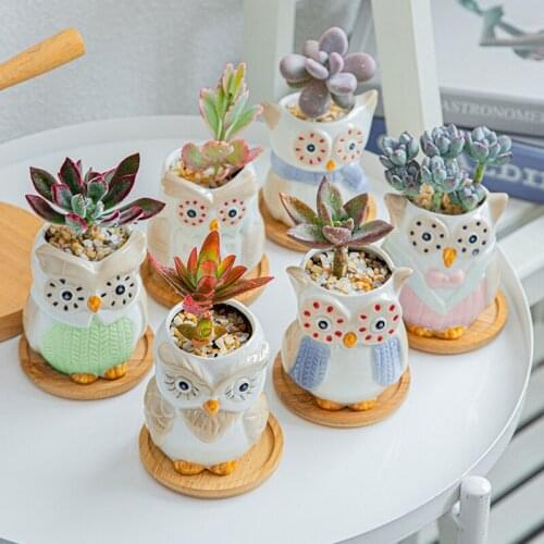 Owl Flowerpot Set Ceramic Fleshy Flower Pot Cute Cartoon Succulent Pot Flowerpot Outdoor Garden Decor 6Pcs Pots Birthday Gift