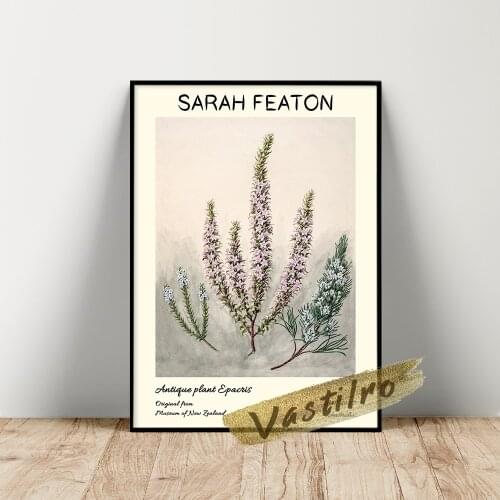 Sarah Featon Poster, Antique Plant Epacris Wall Painting, Featon Two Plant Wall Stickers, Vintage New Zealand Botany Wall Art