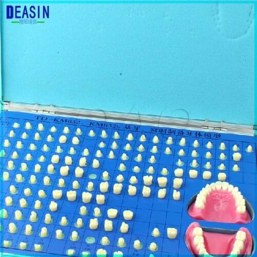 Dental Teeth Model Oral Cavity Preparation of Teeth Removable Scattered teeth Dental Care